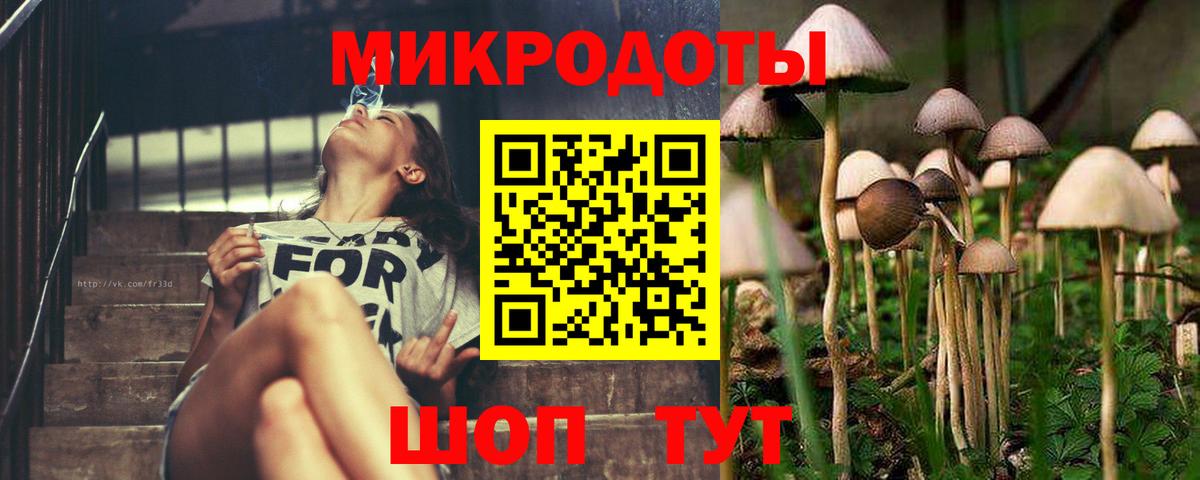 Галлюциногенные грибы MAGIC MUSHROOMS  Вход с VPN  Псилоцибиновые грибы ЛСД  наркошоп  Чайковский 
